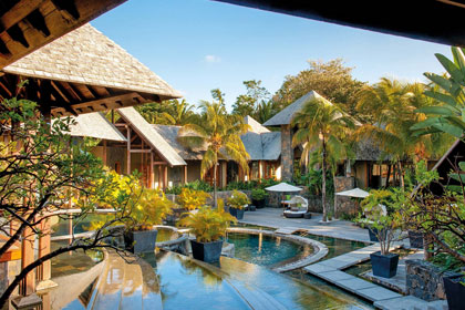 Beach Comber Royal Palm