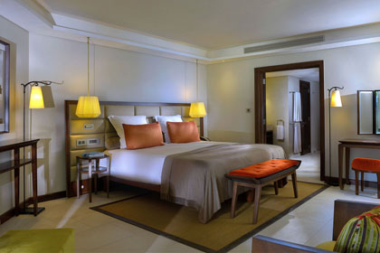 Beach Comber Royal Palm