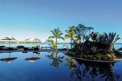 Beach Comber Royal Palm