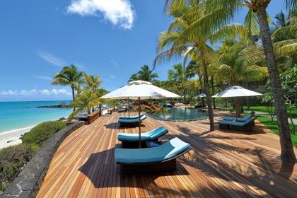 Beach Comber Royal Palm
