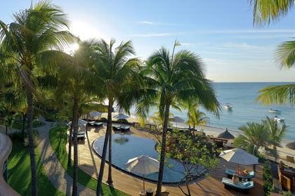 Beach Comber Royal Palm