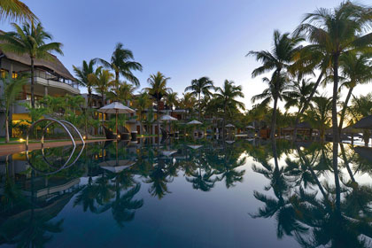 Beach Comber Royal Palm