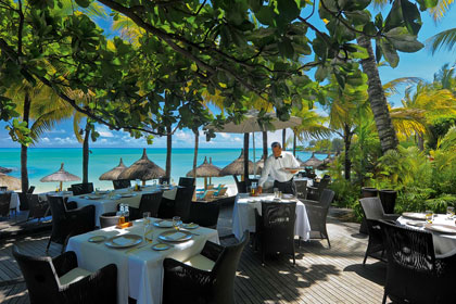 Beach Comber Royal Palm