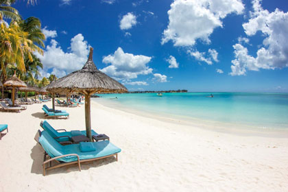 Beach Comber Royal Palm