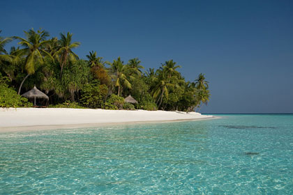 Coco Palm Dhuni Kolhu