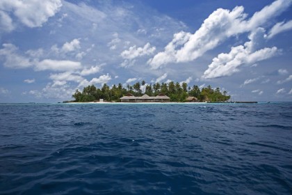 Malahini Kuda Bandos 