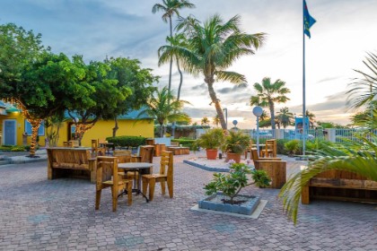 MVC Eagle Beach Aruba