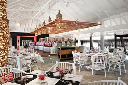 Vivanta by Taj - Coral Reef