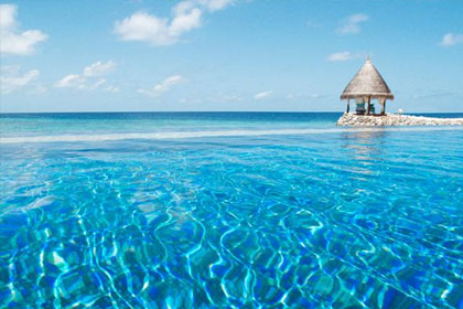 Vivanta by Taj - Coral Reef